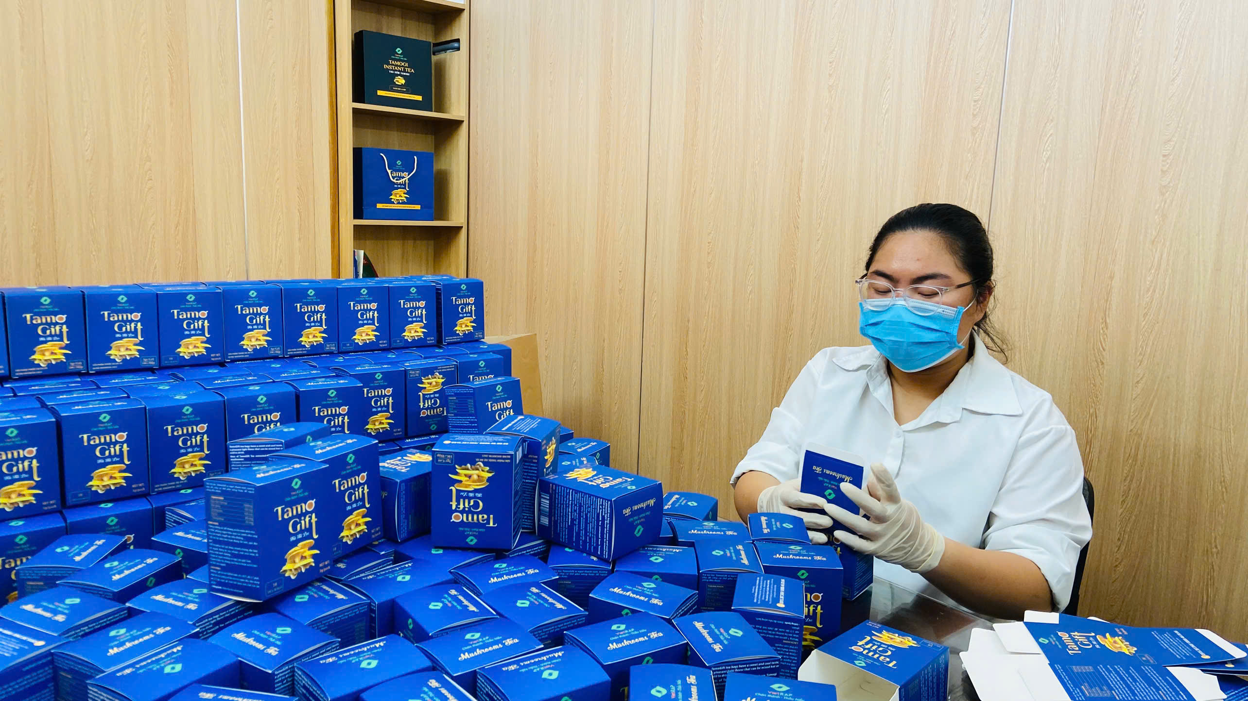 TRÀ TÚI LỌC NẤM SÒ VÀNG TAMO GIFT