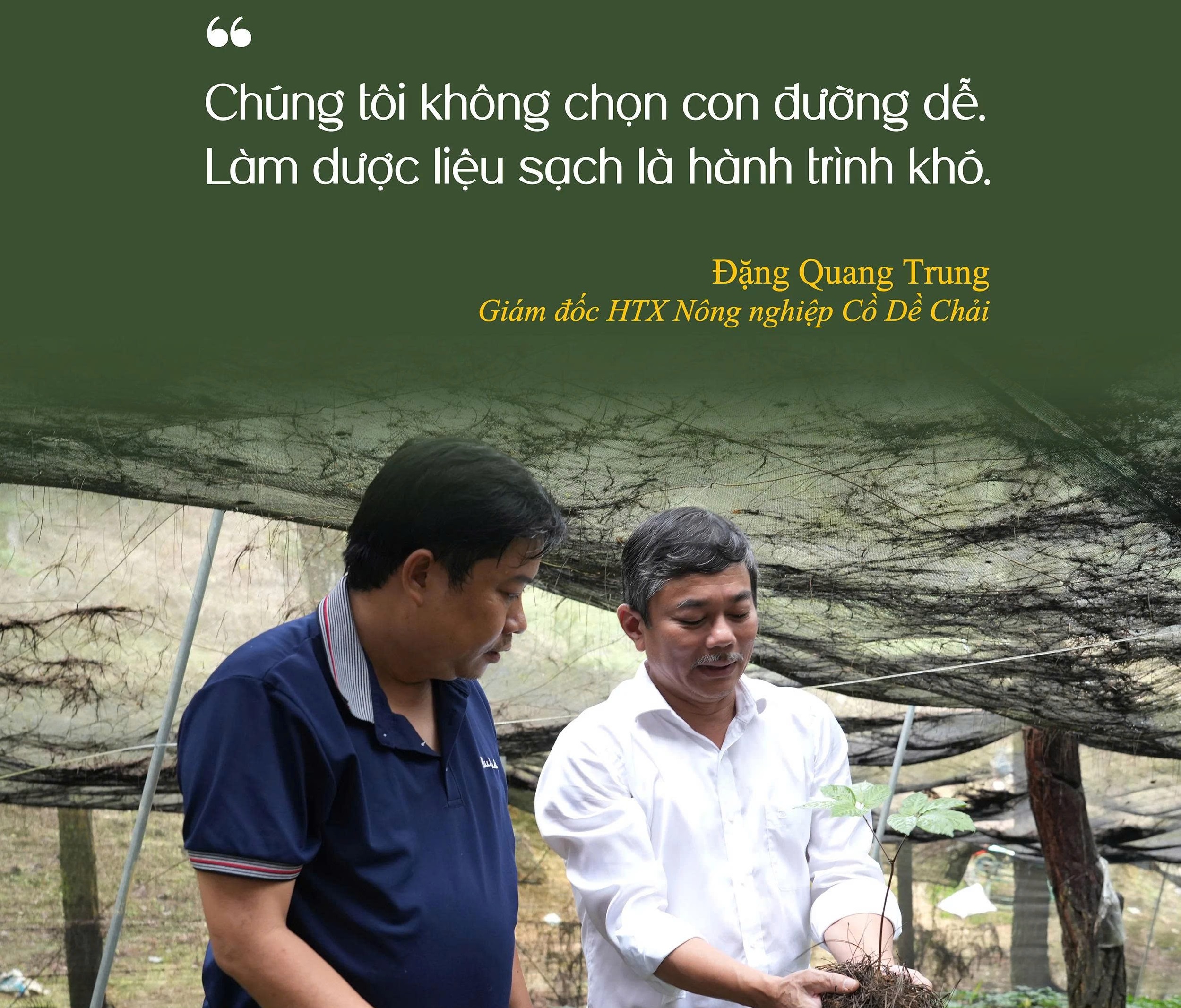 hoi-sinh-duoc-lieu-quy-tren-cao-nguyen-bac-ha